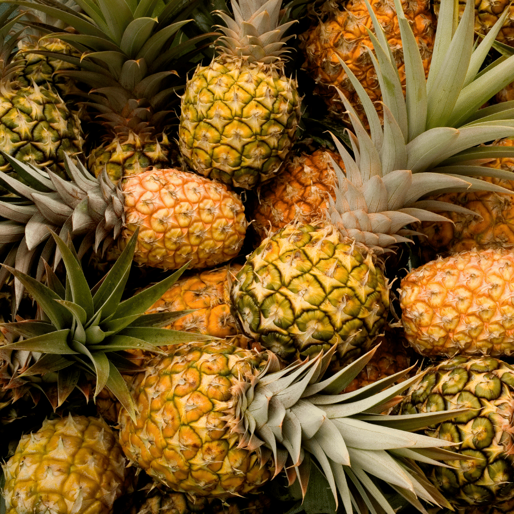 Pineapple