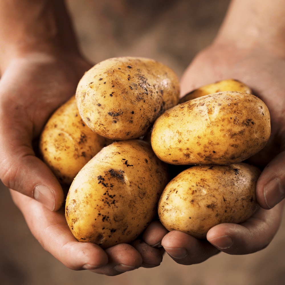 Potatoes
