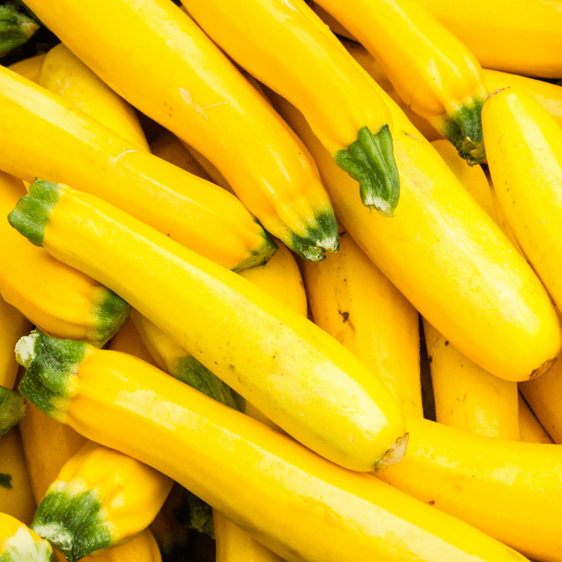 Yellow Squash