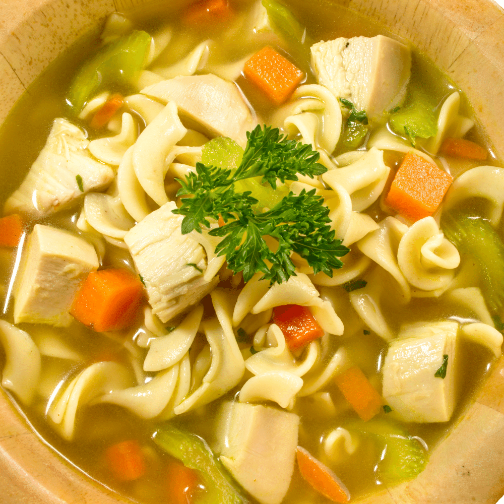 chicken noodle soup