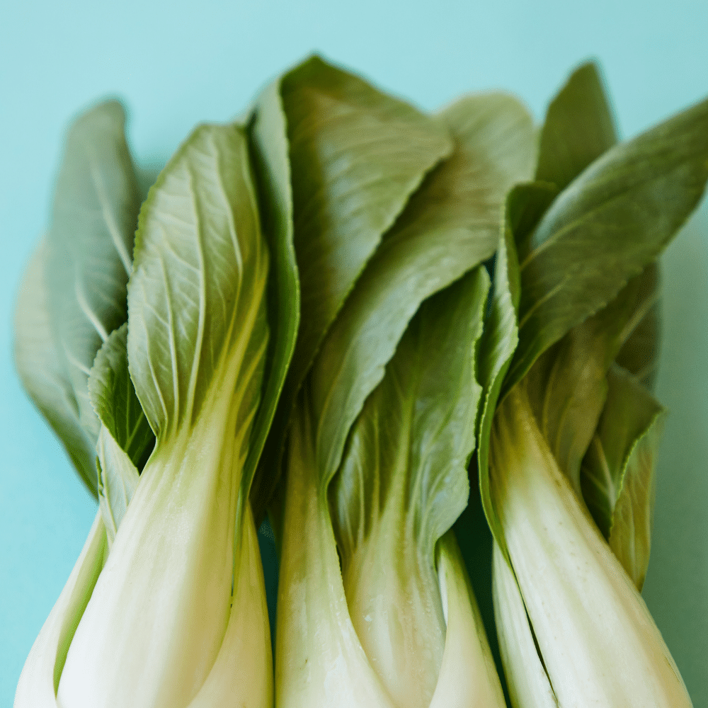 Chinese cabbage