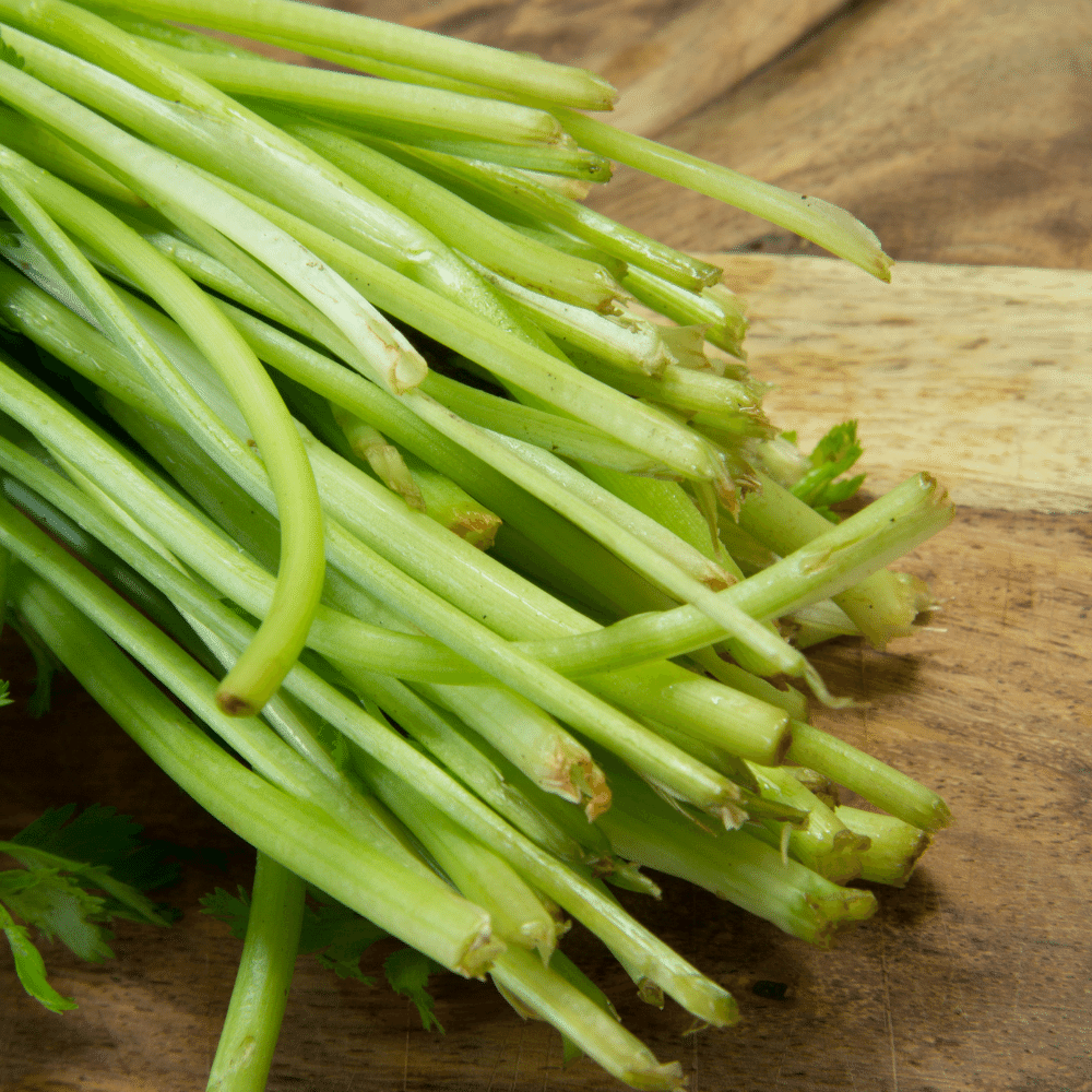 Cilantro stems
