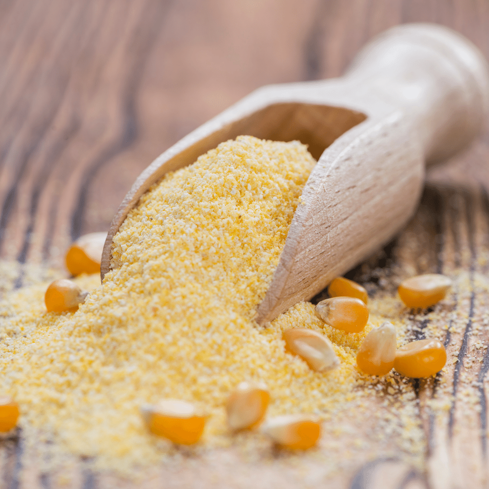 Cornmeal