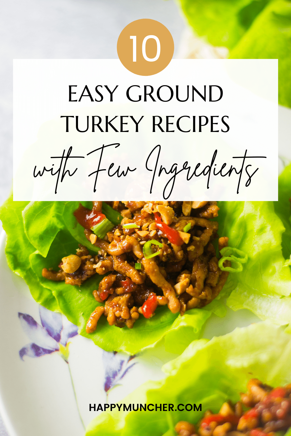 Easy Ground Turkey Recipes with Few Ingredients