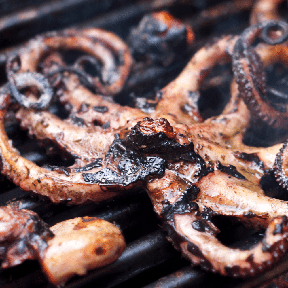 Grilled Octopus