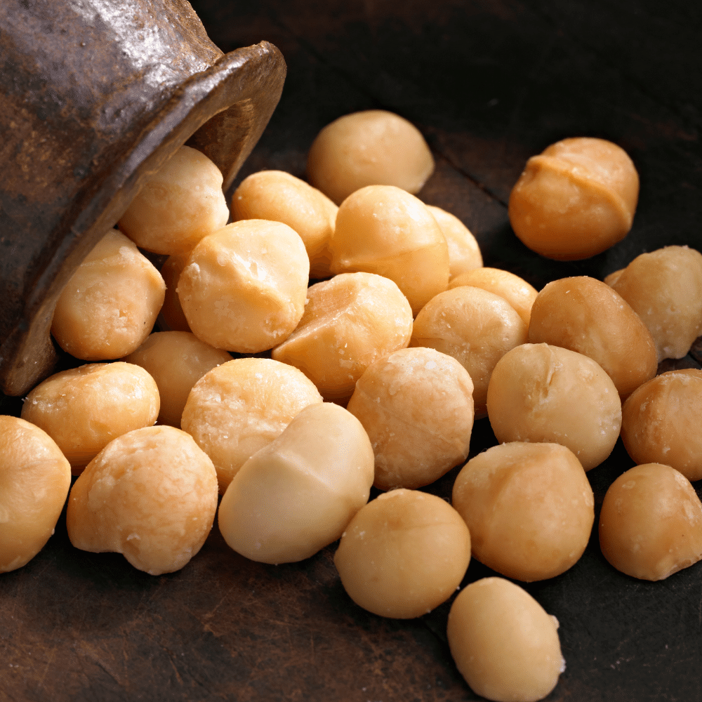 Macadamia Nuts
