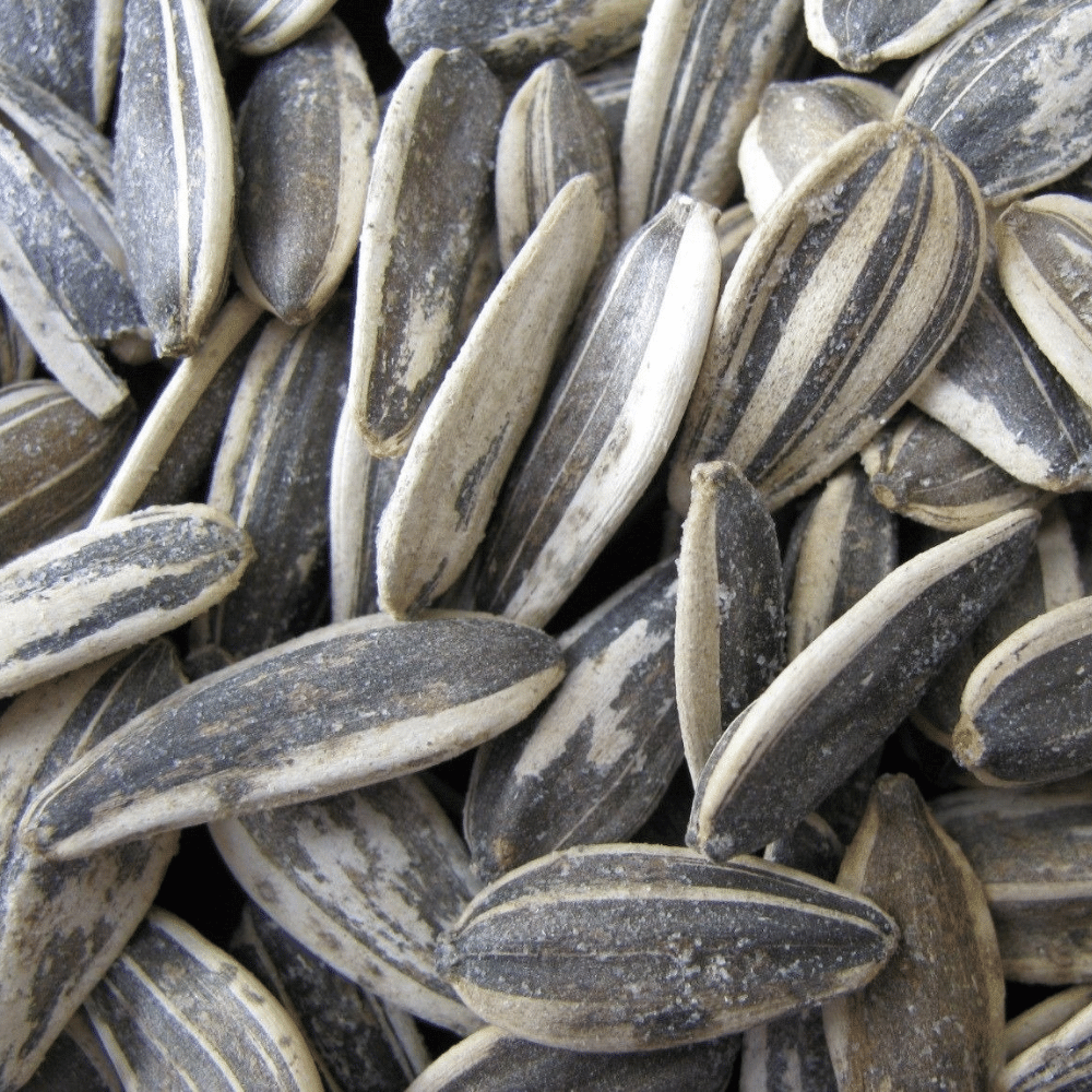 Sunflower seeds