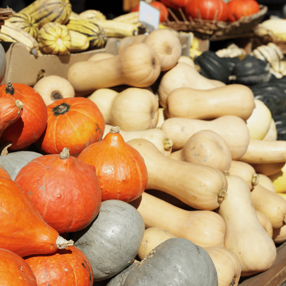 Winter squash
