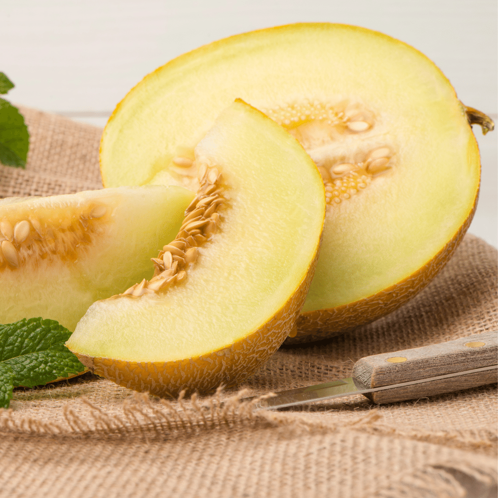 Honeydew melon