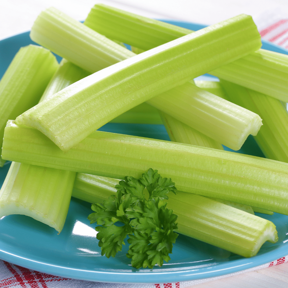 Celery Sticks