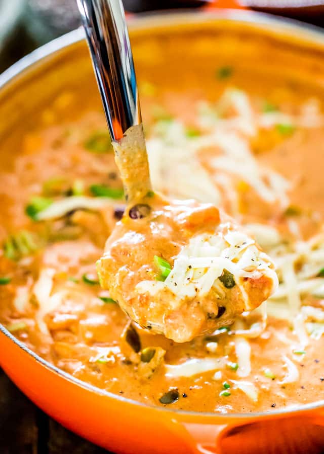 Cheesy Chicken Enchilada Soup
