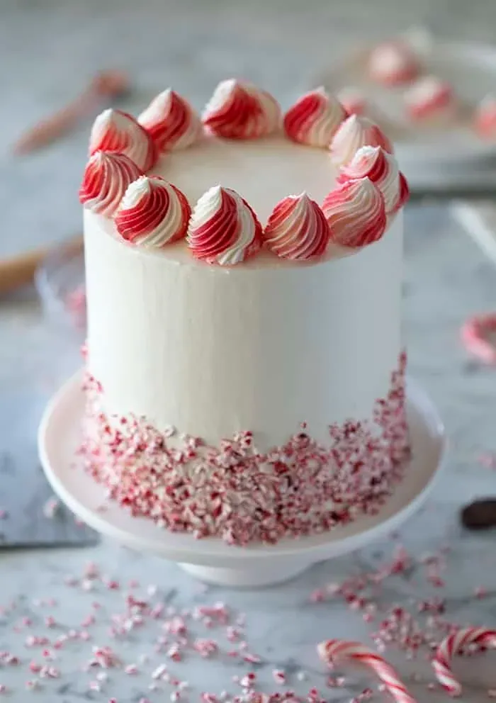 Chocolate Peppermint Cake