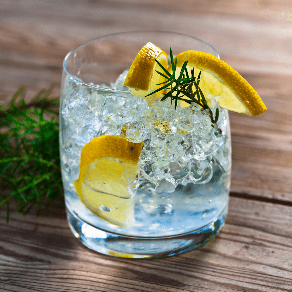 Gin and Tonic