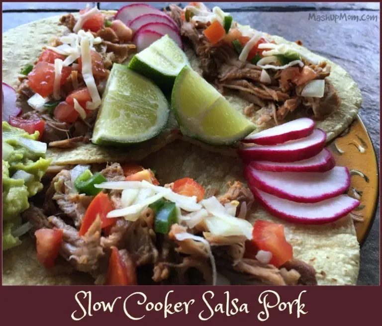 Slow Cooker Salsa Pork