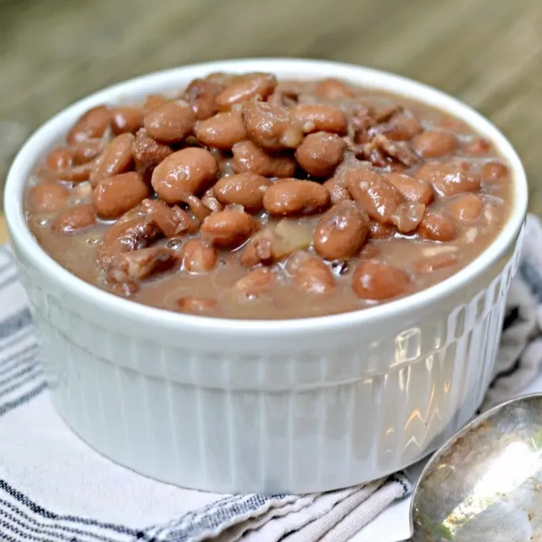 Pinto Beans
