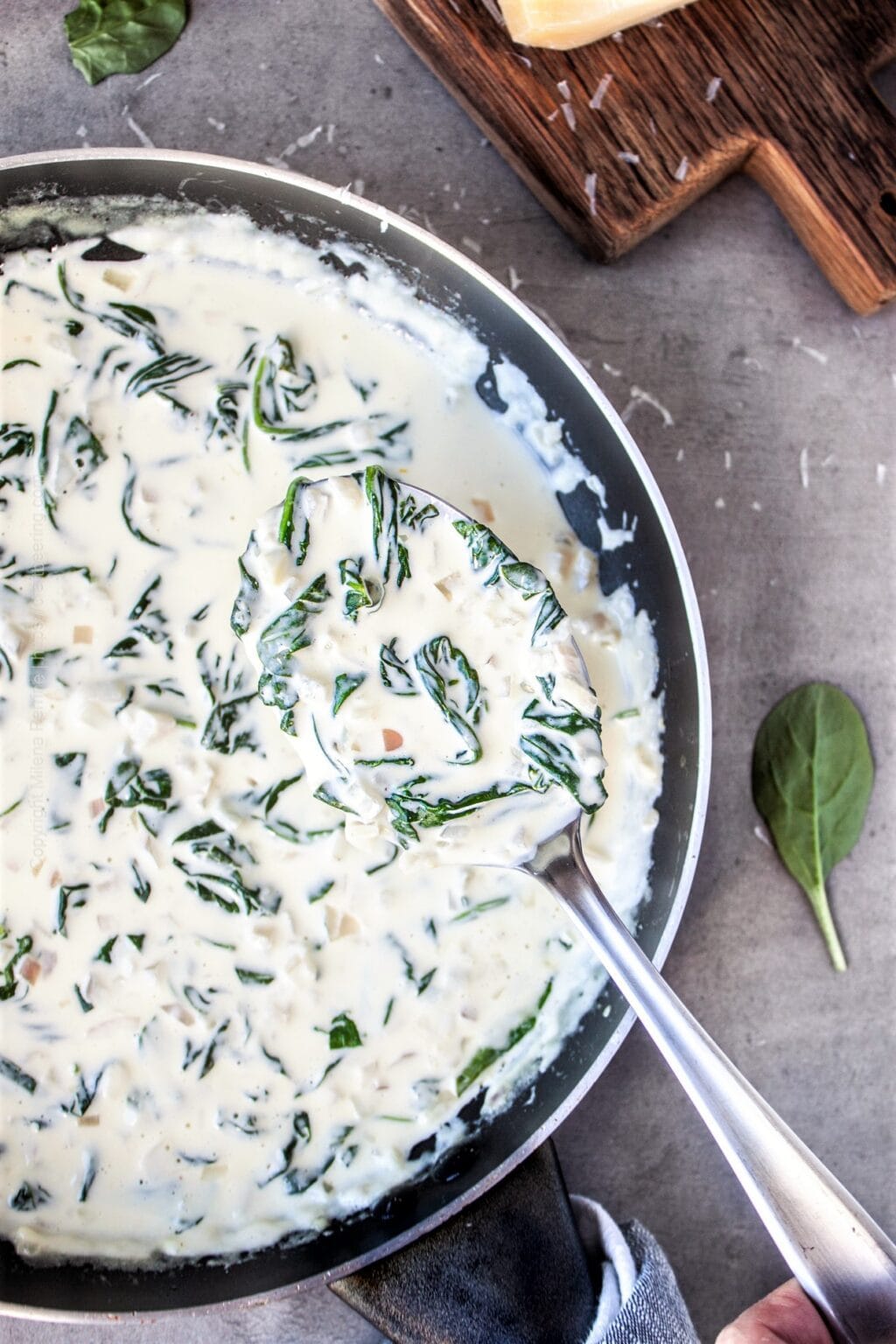 Spinach Cream Sauce