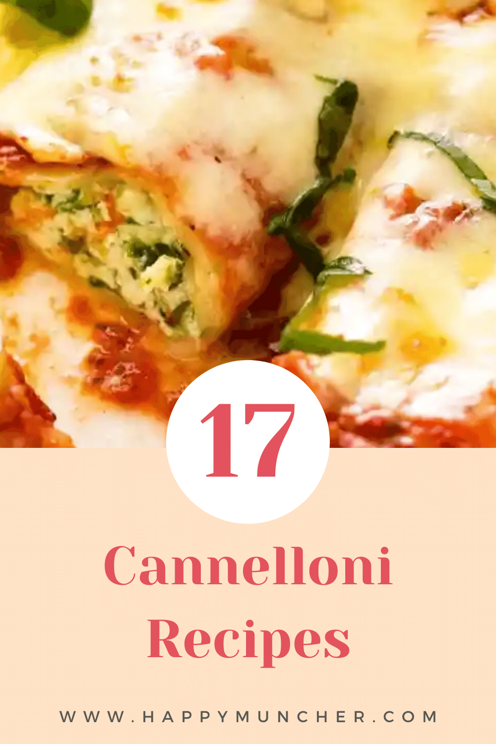 Cannelloni Recipes