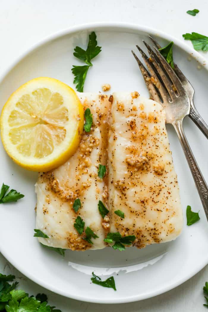 Halibut