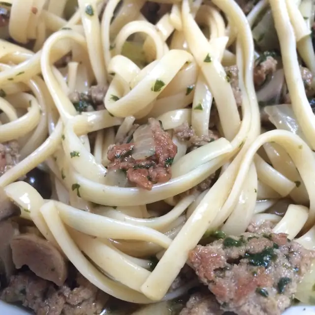 Noodles with Ground Turkey, a Stroganoff Substitute