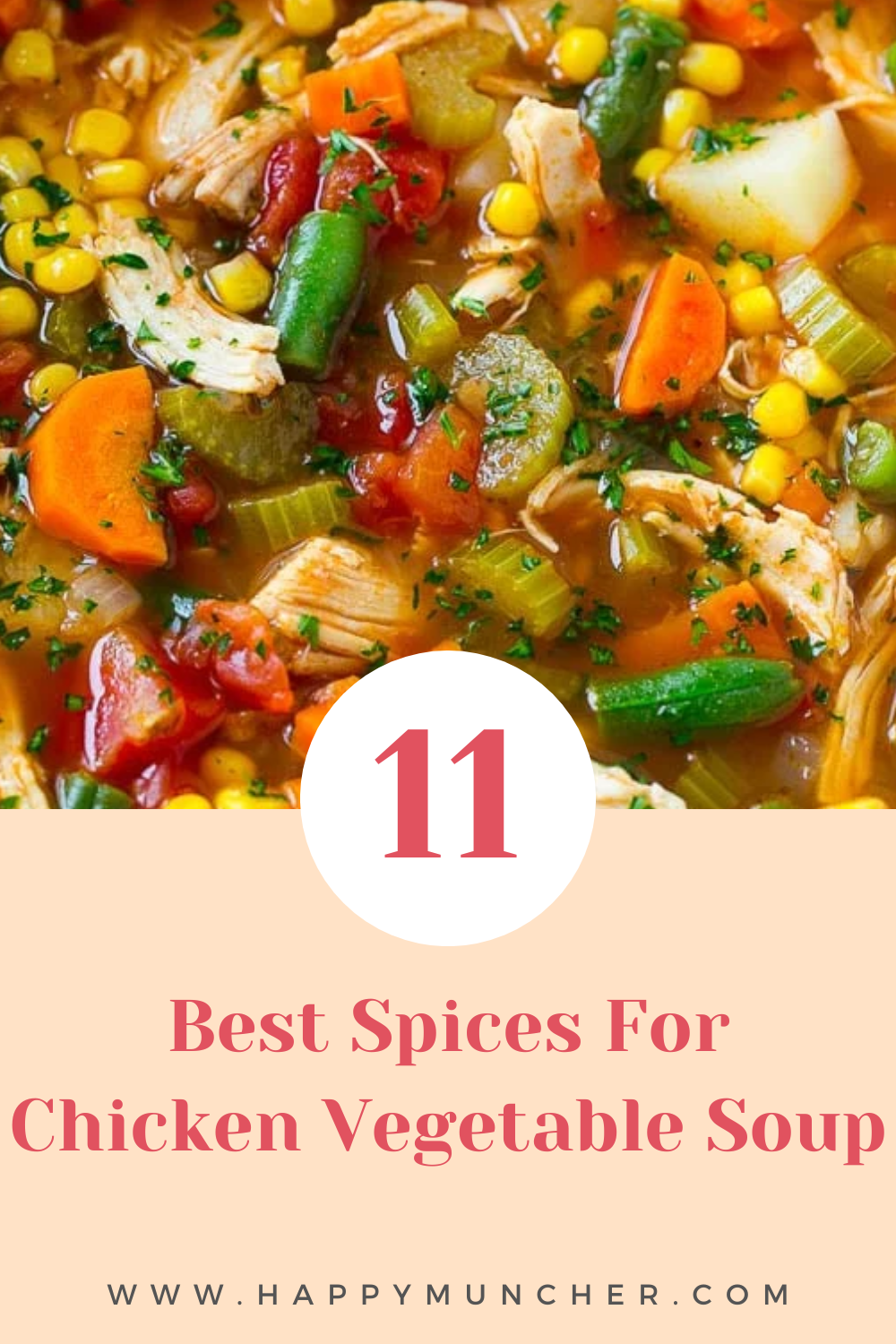 What Spices Go in Chicken Vegetable Soup