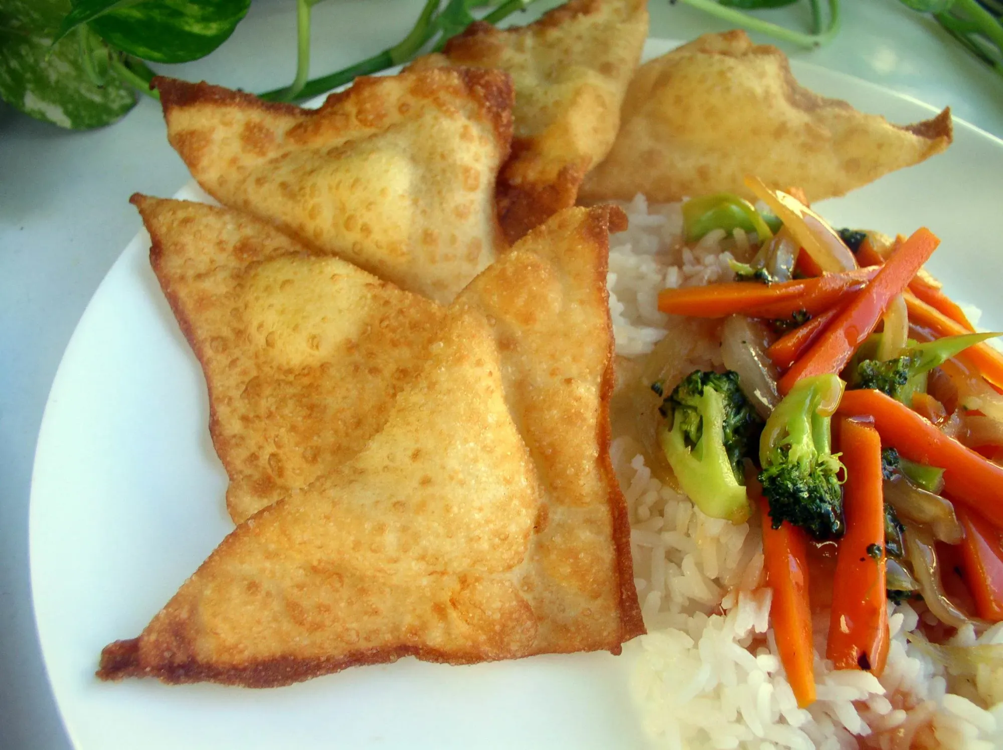 Garlicky Cream Cheese Wontons