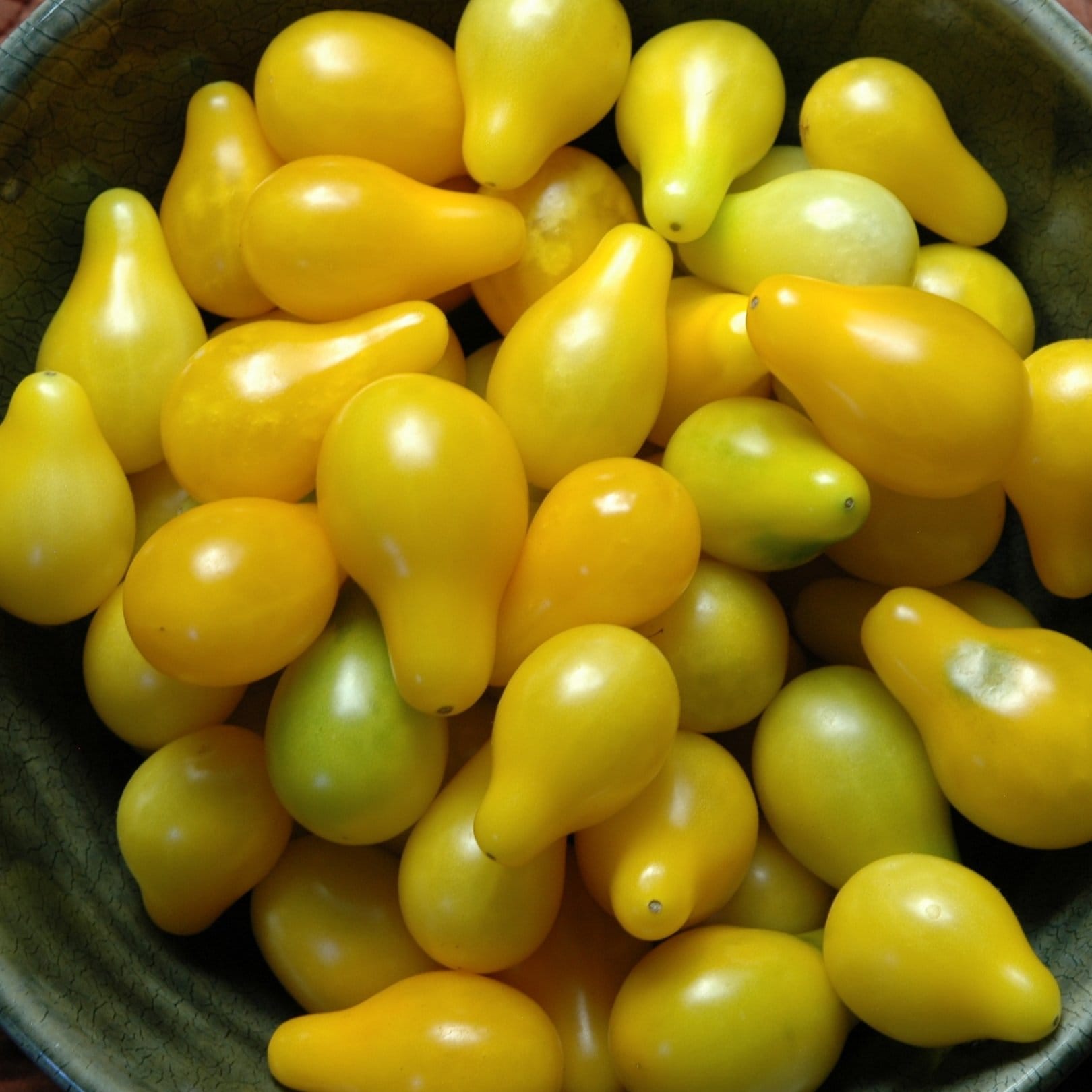Pear or Teardrop Tomatoes