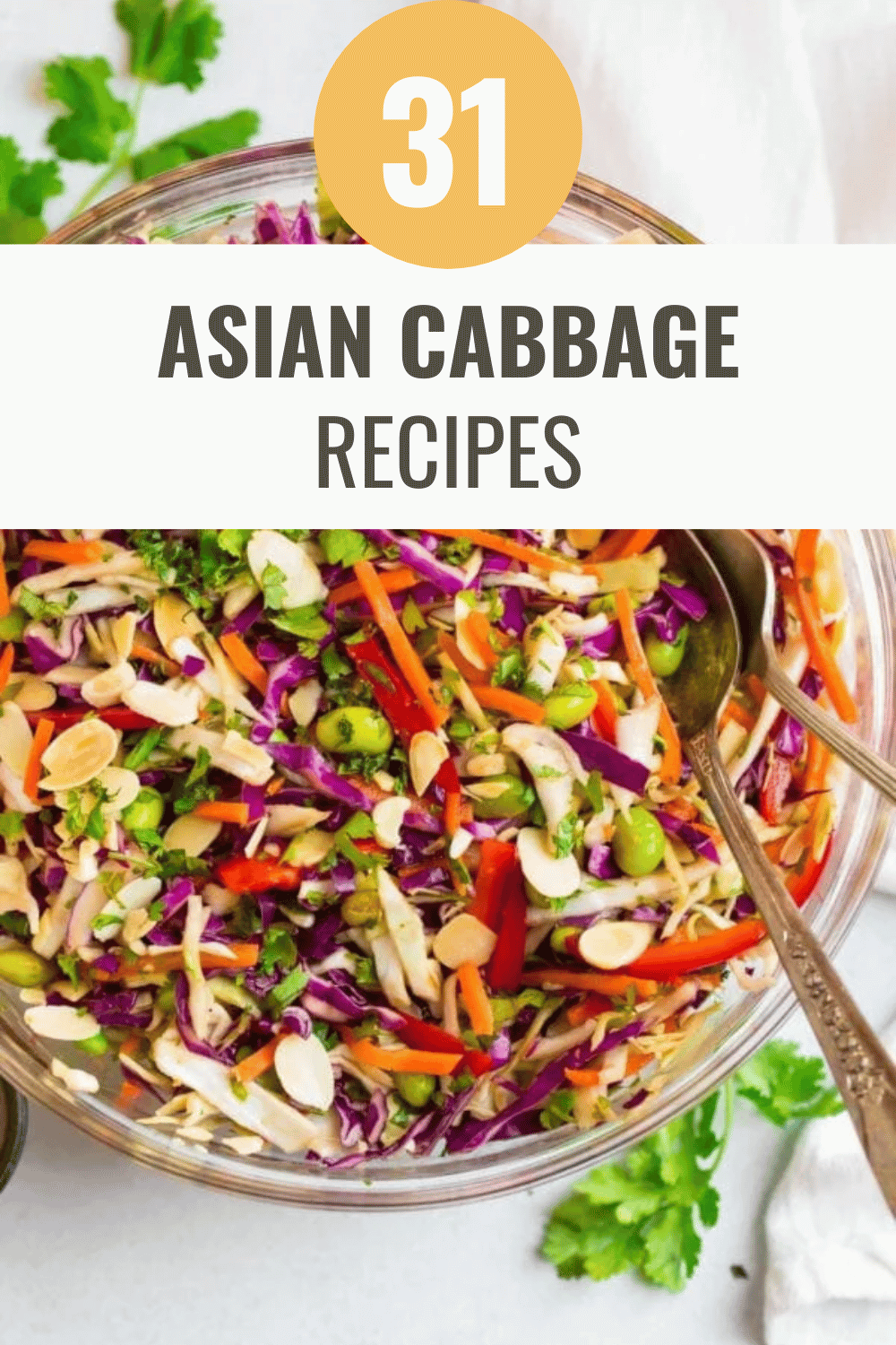 Asian Cabbage Salad