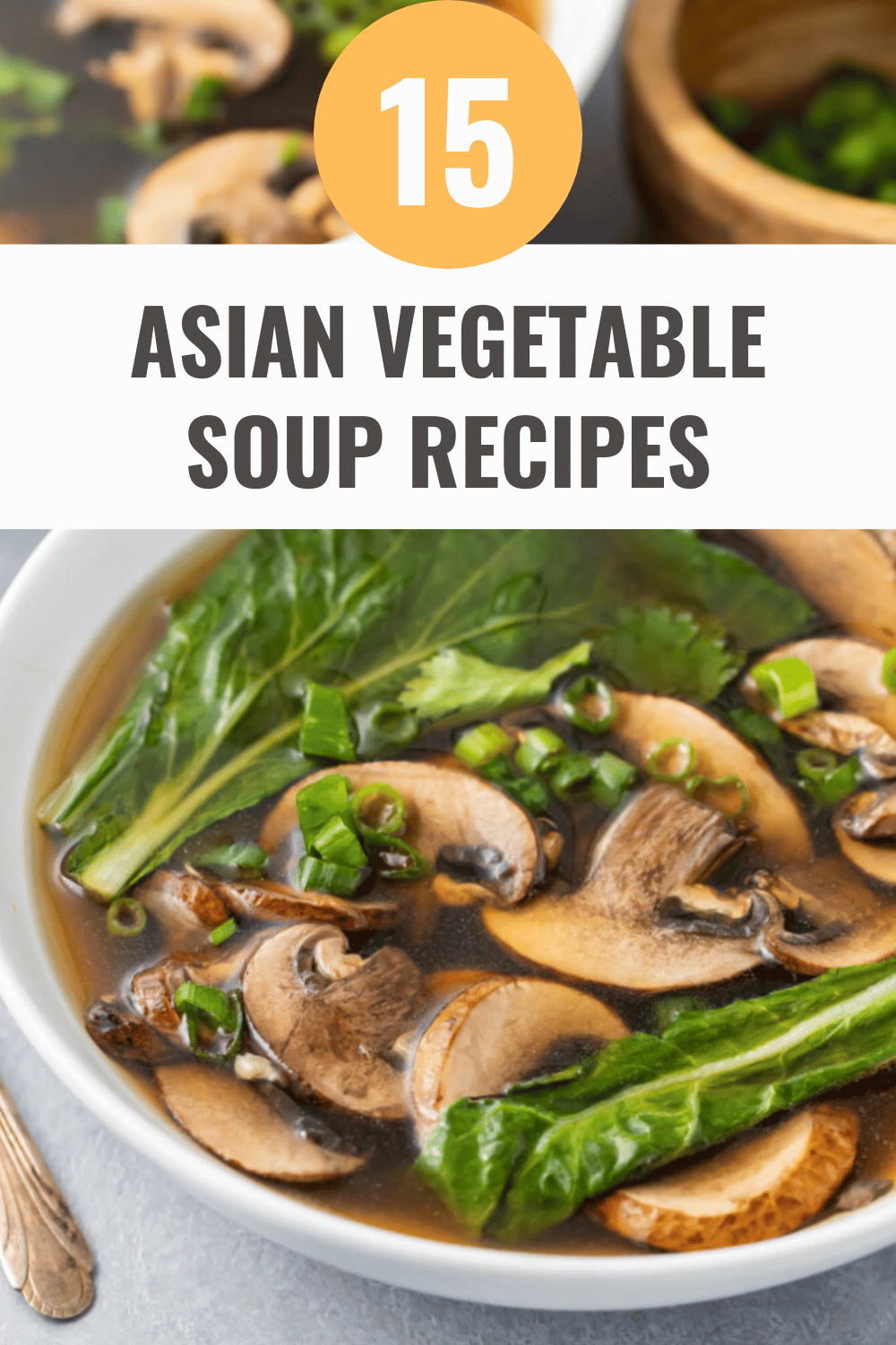 Chinese Vegetable Soup