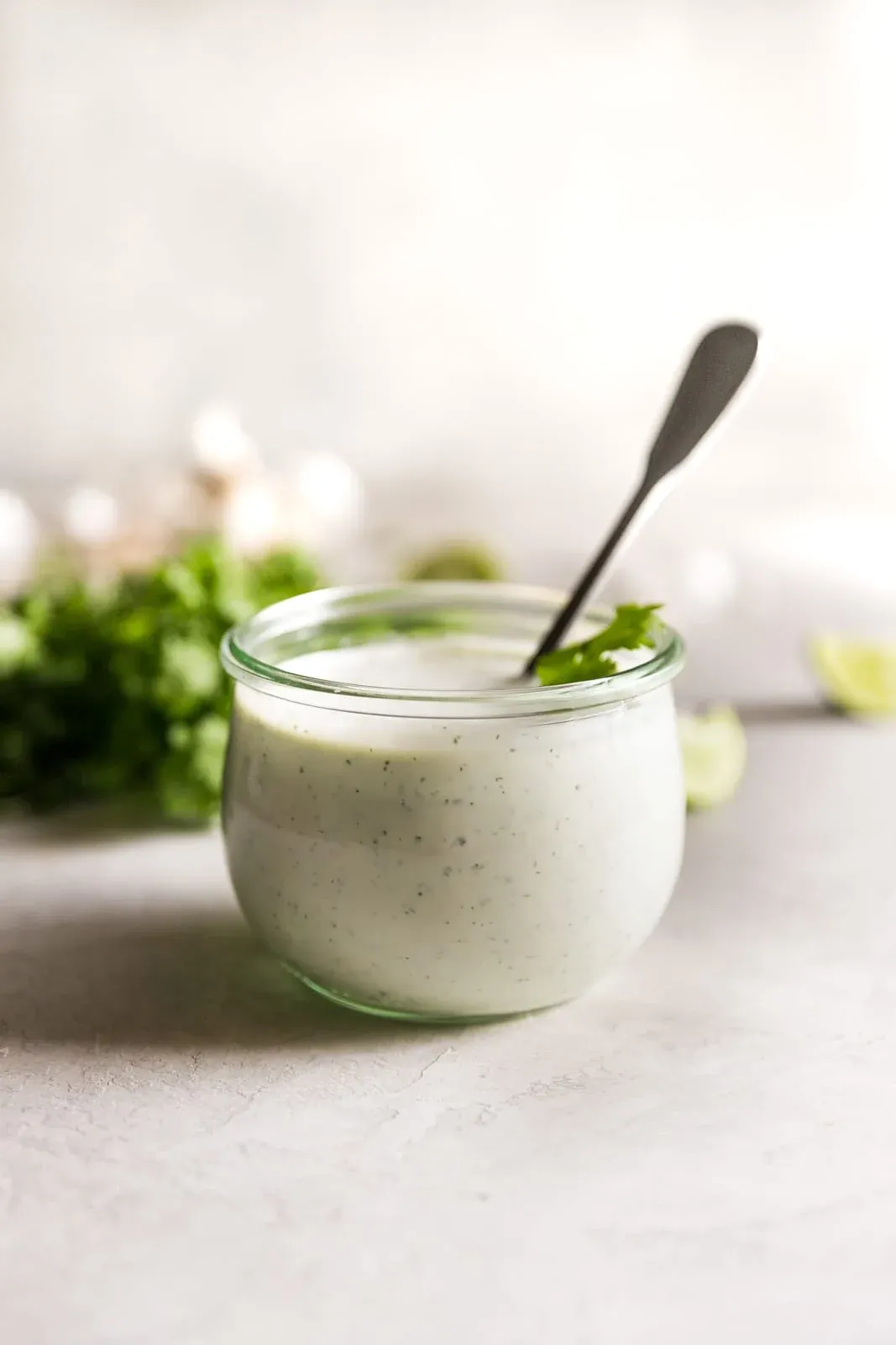 Cilantro Garlic Sauce