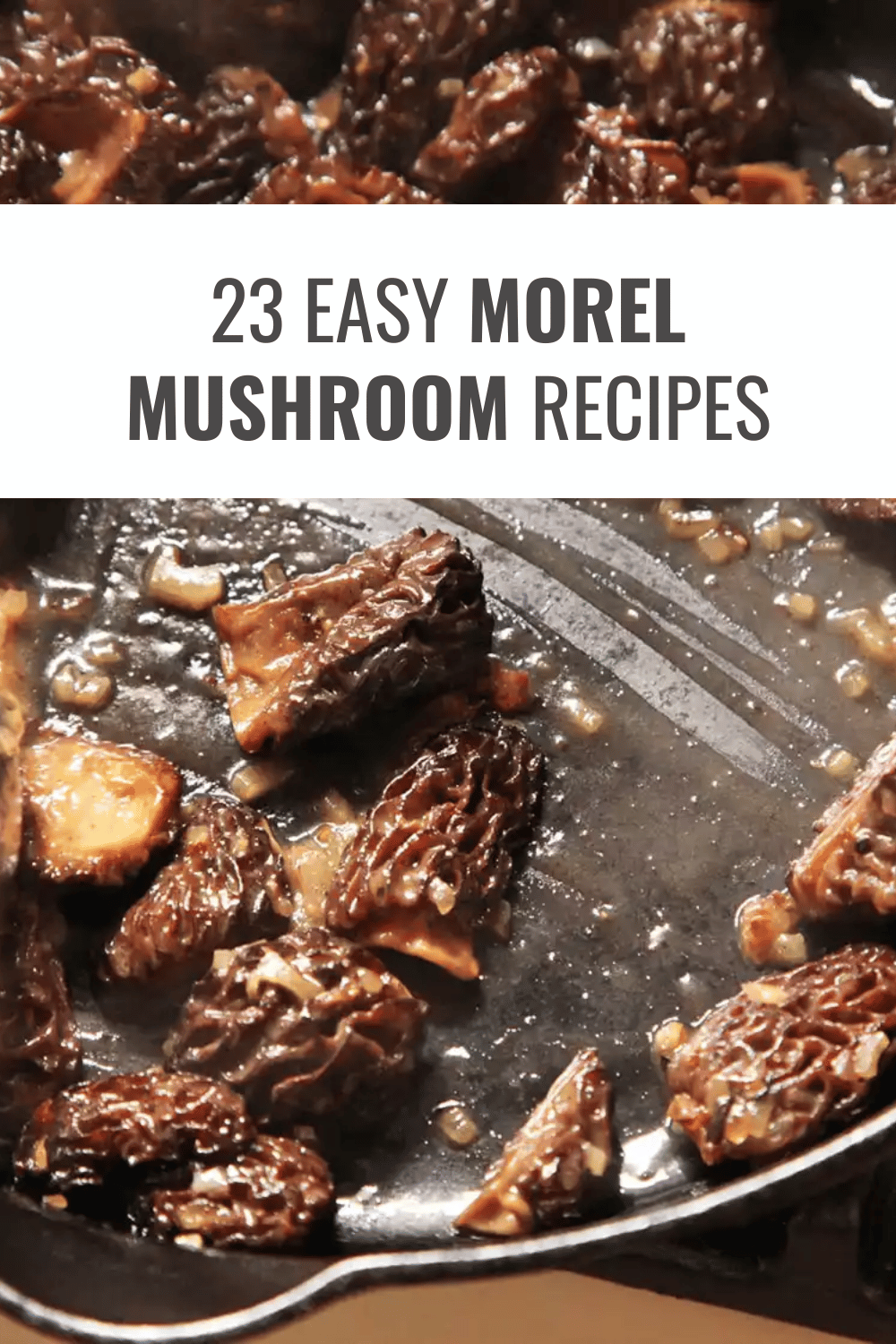 Morel Mushroom Recipes