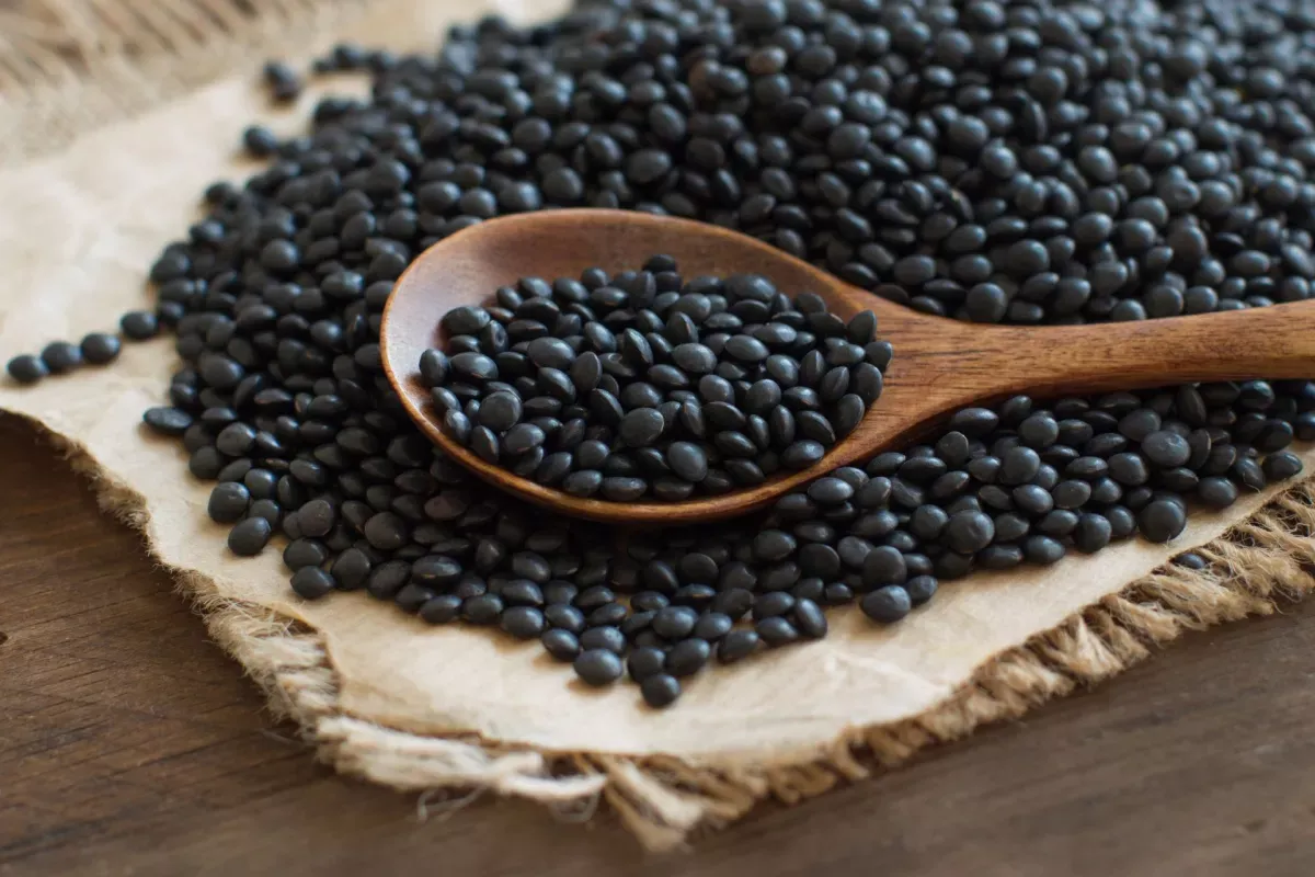 Black beluga lentils