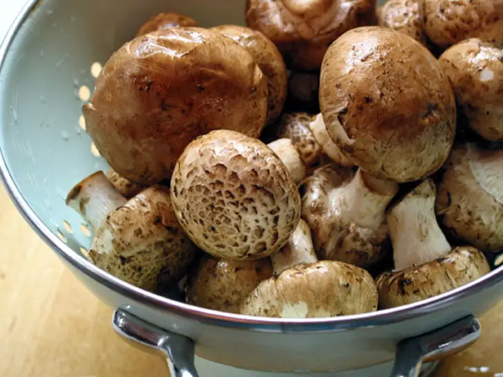 Cremini Mushrooms