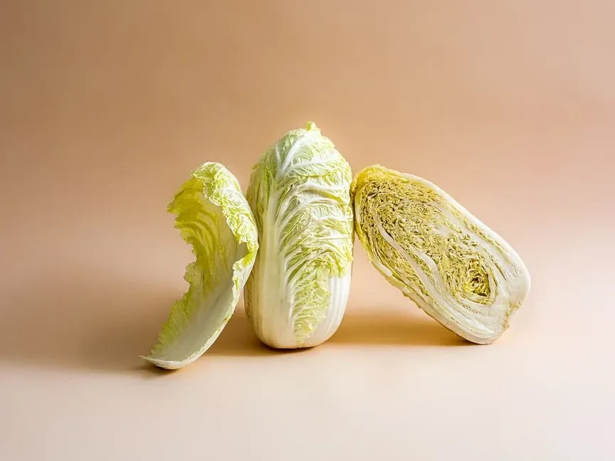 Napa Cabbage