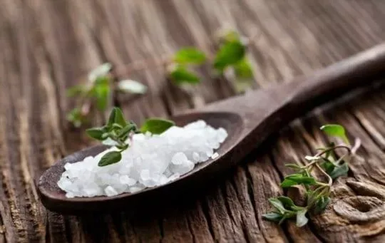 Non-iodized Sea Salt