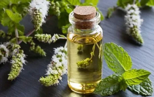 Peppermint Oil