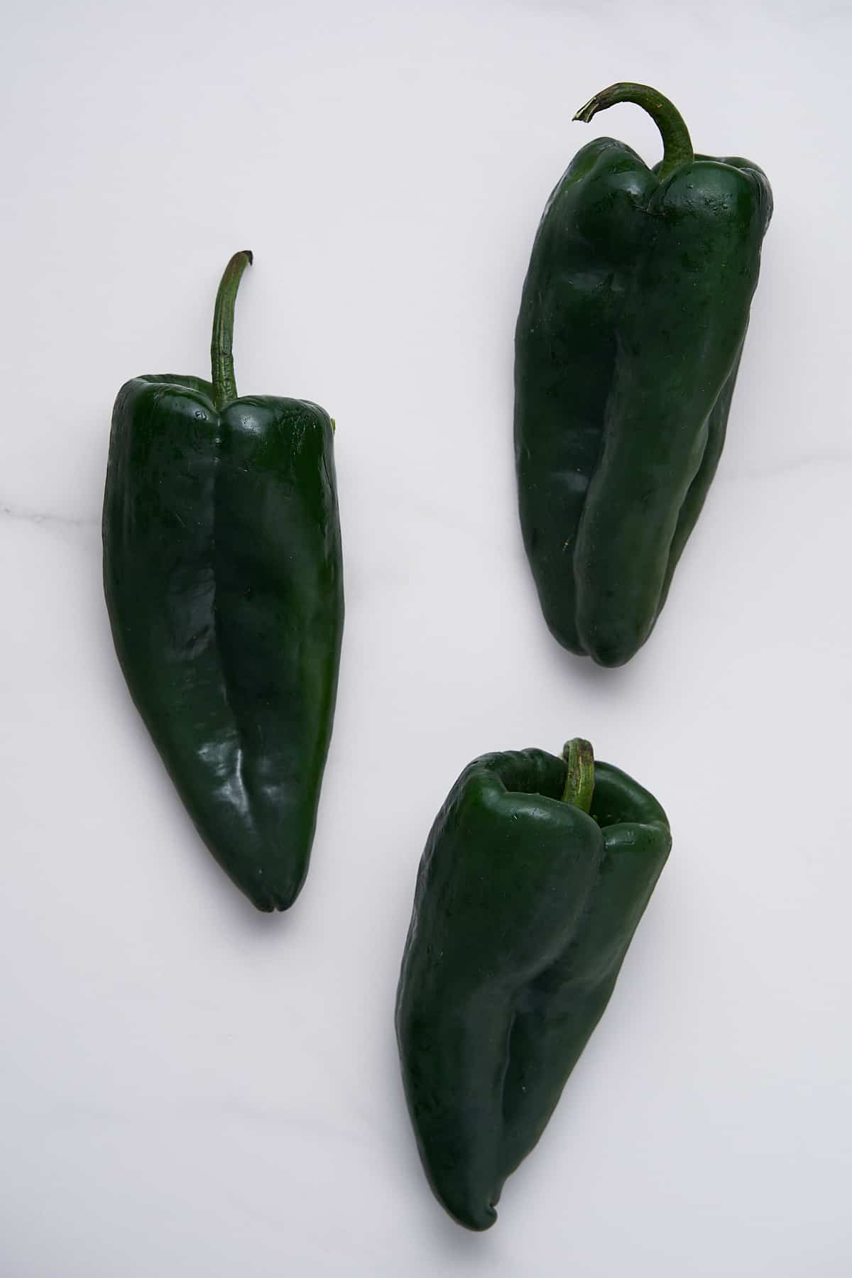 Poblano pepper