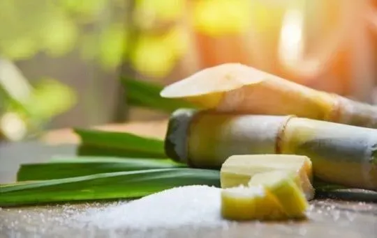 Unprocessed Cane Sugar