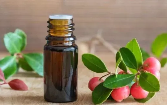 Wintergreen Extract