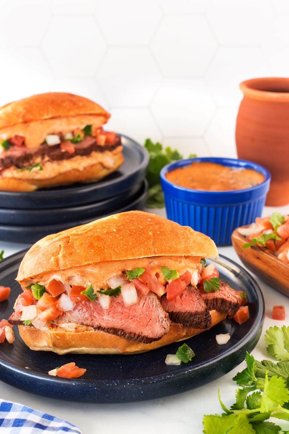 Grilled Tri-Tip Sandwich