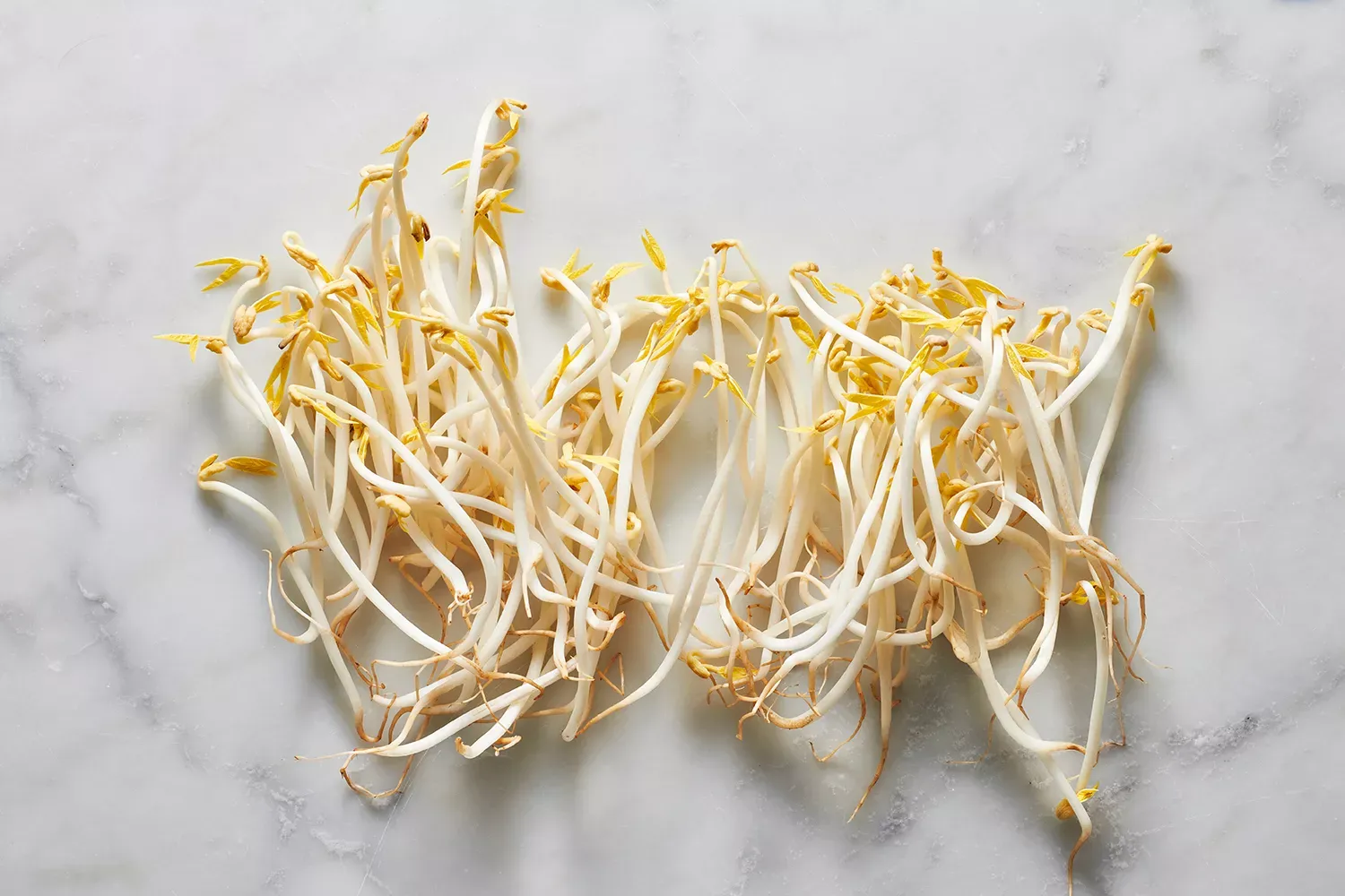 Mung Bean Sprouts