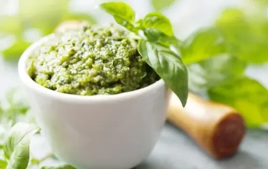Basil Pesto