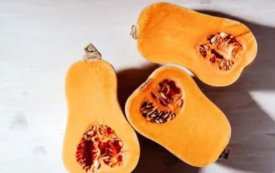 Butternut Squash