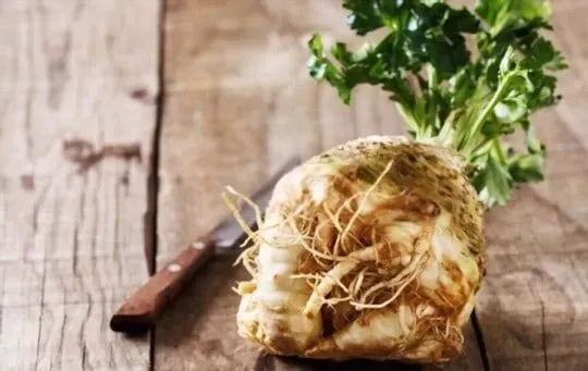 Celeriac (celery root)