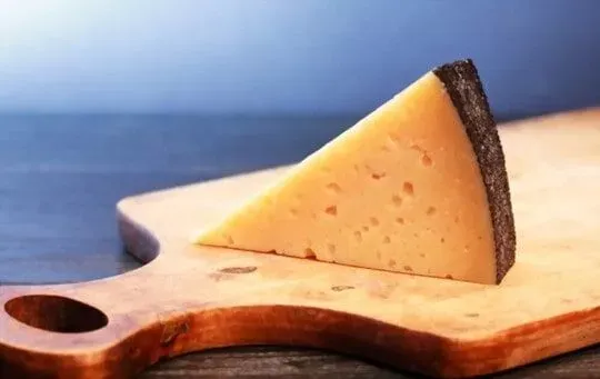Gruyére Cheese