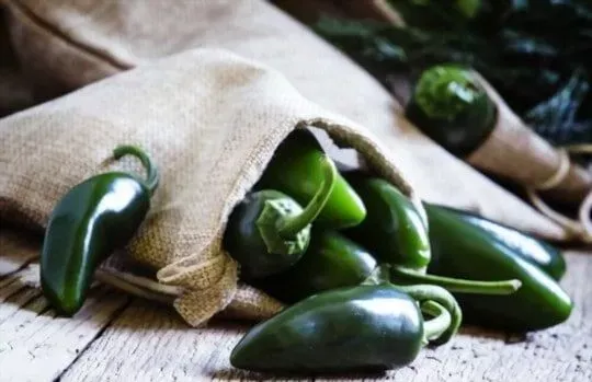 Jalapeno Peppers
