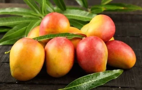 Mango