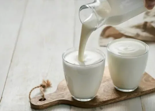 Milk Kefir