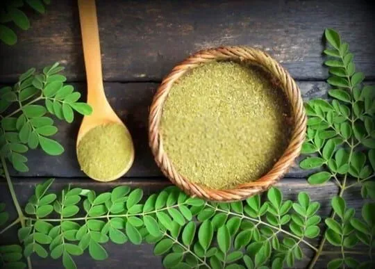Moringa Powder