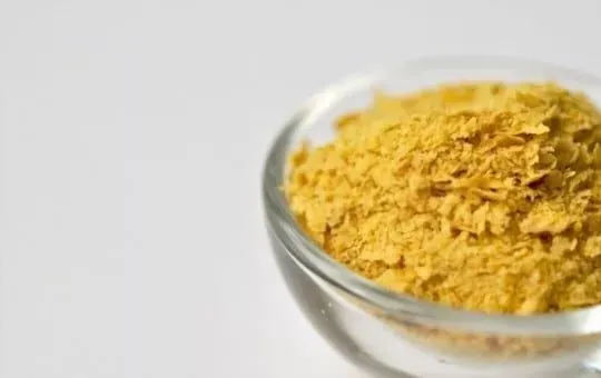 Nutritional Yeast