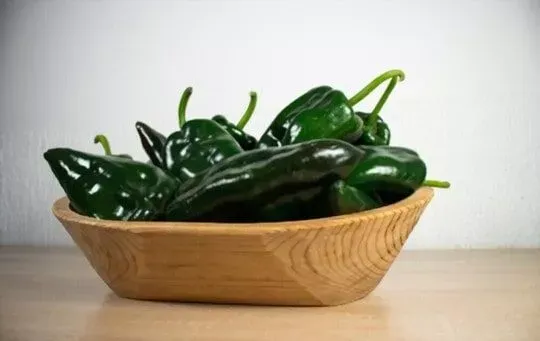 Poblano Peppers